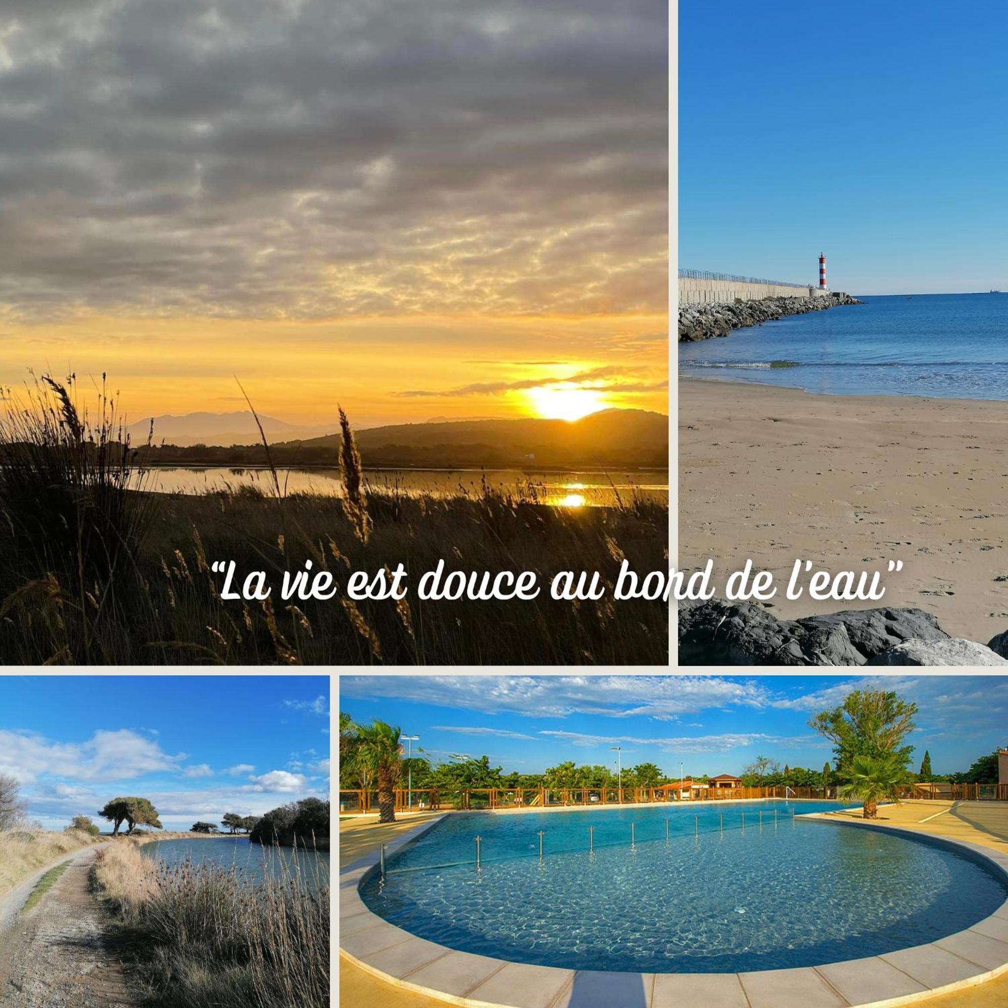 Entre Mer Et Roseaux - Piscine - Proche Centre Et Mer - Petfriendly Port-la-Nouvelle Zimmer foto